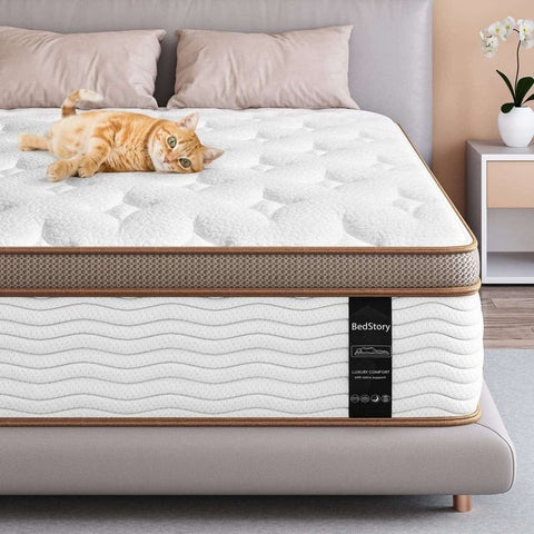 Master Molti Foam